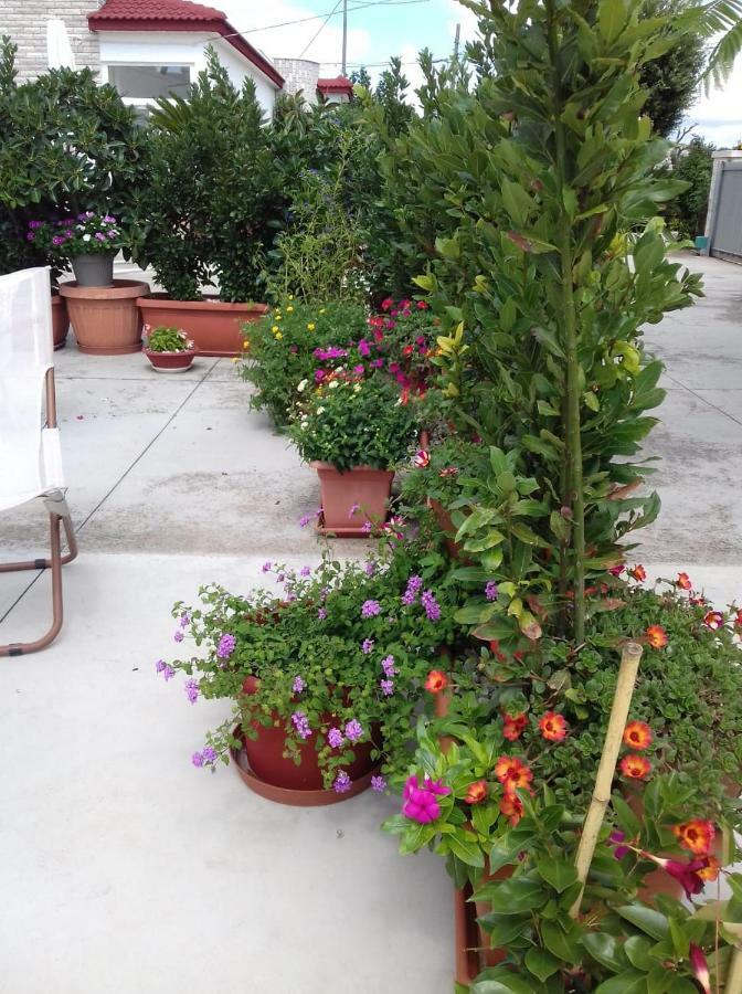 Trullo Della Rosa Villa Martina Franca Eksteriør billede